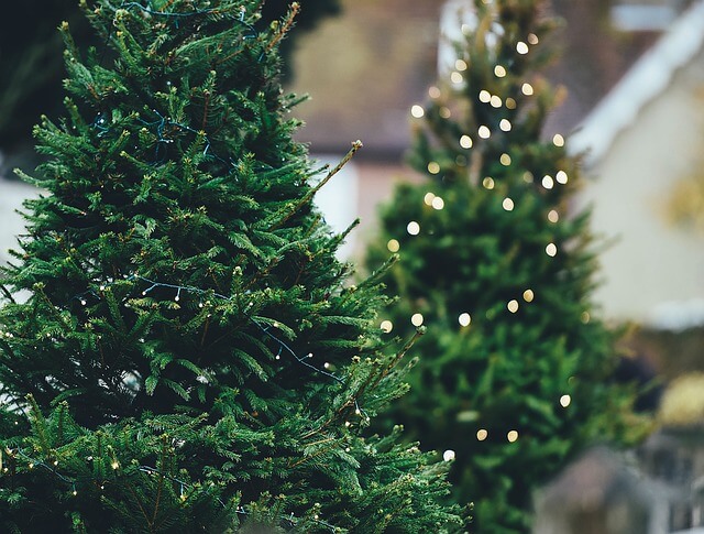 Holiday Lights Run adds to downtown festive feel